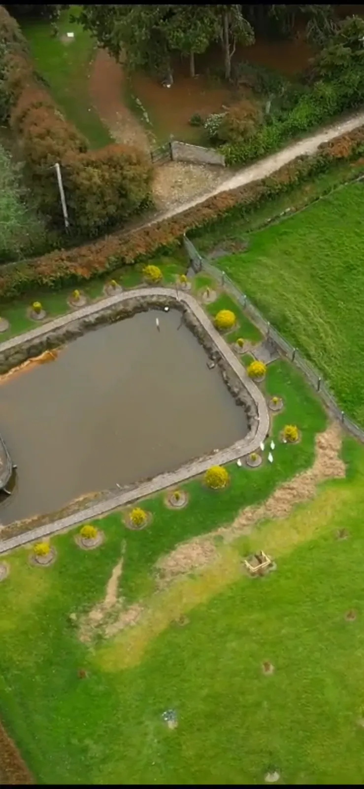 Lago rodeado de bosque nativo en la Finca El Edén